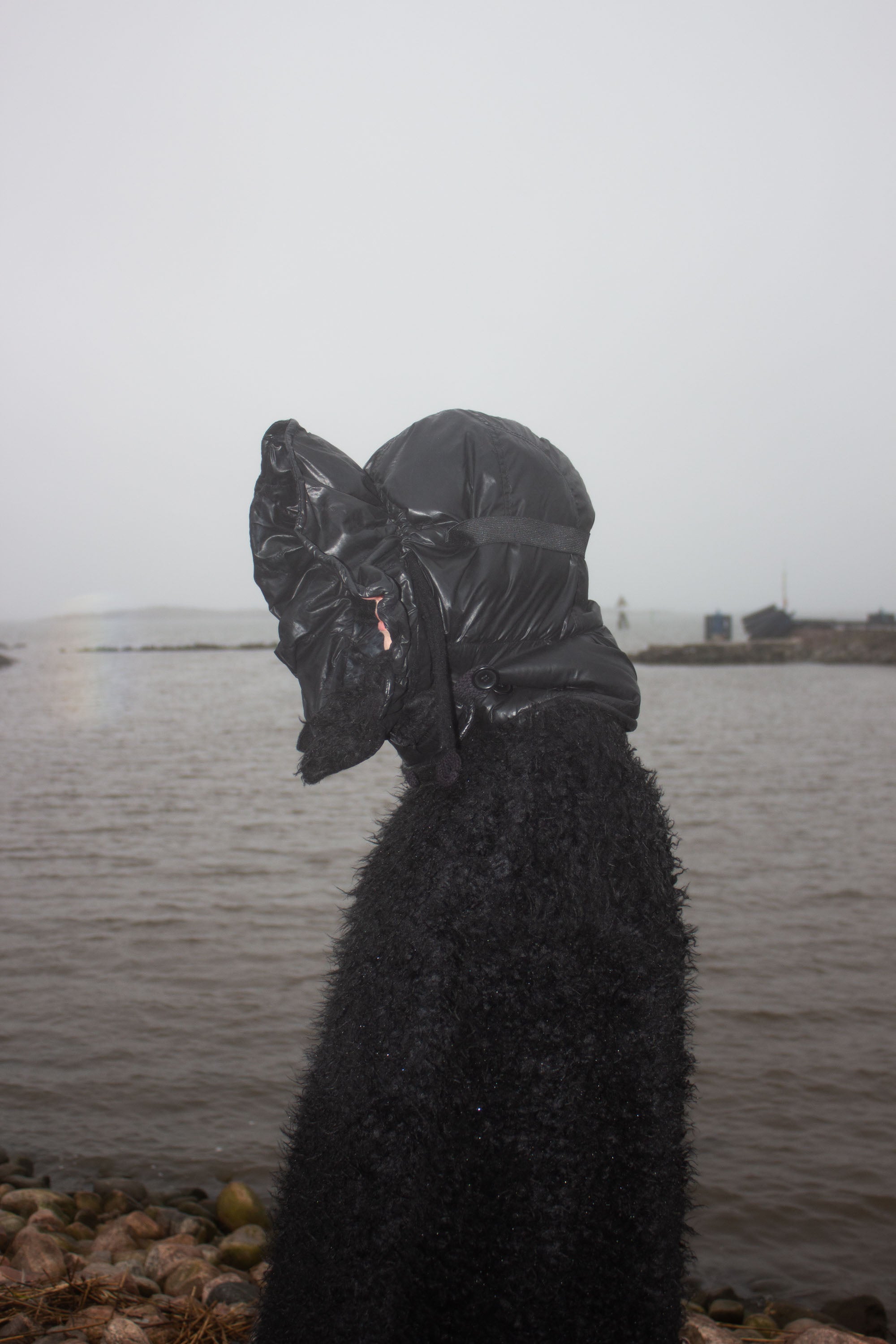 Hood - NELLY JOHANSSON